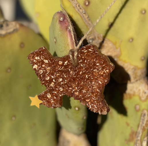 Freshies Bohoma Scent Co.