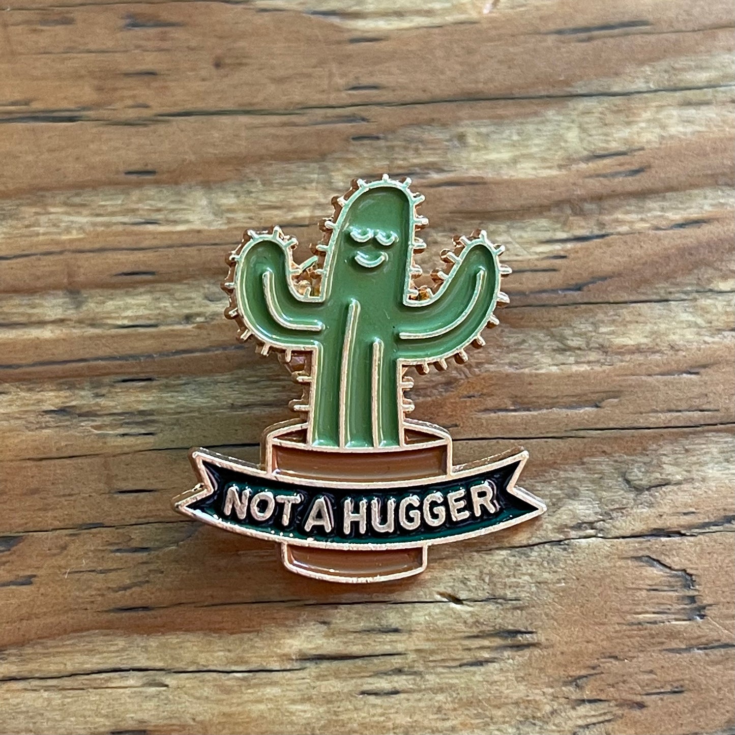 Cactus Enamel Pins