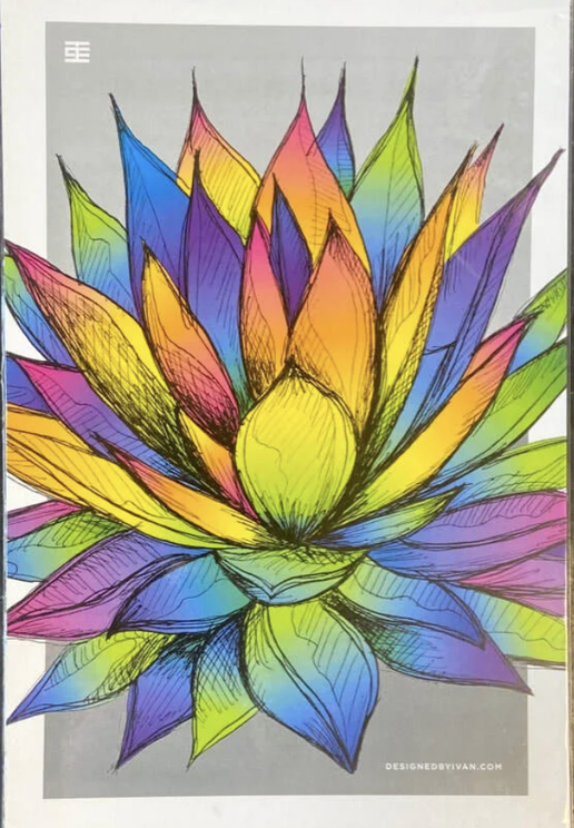 IVAN Prints