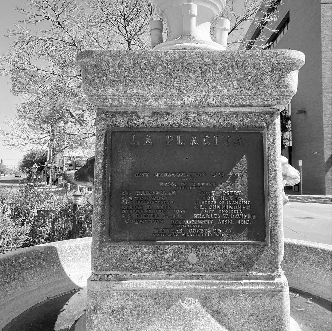 Can't Lead a Horse to Water