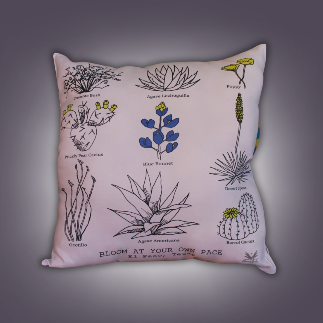 Chuco Pillows