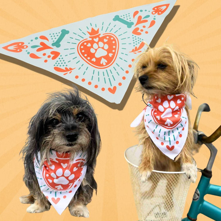 Pet Bandanas