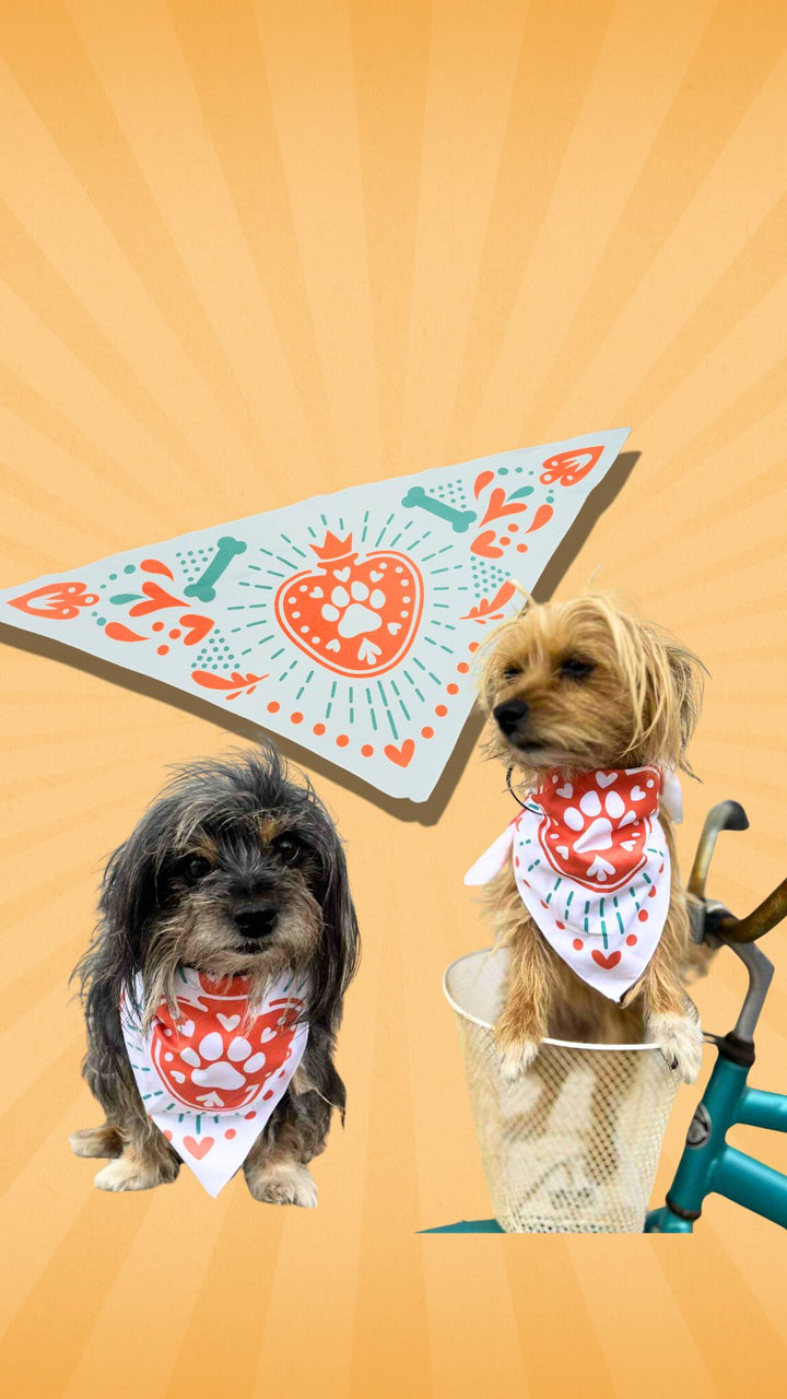 Pet Bandanas