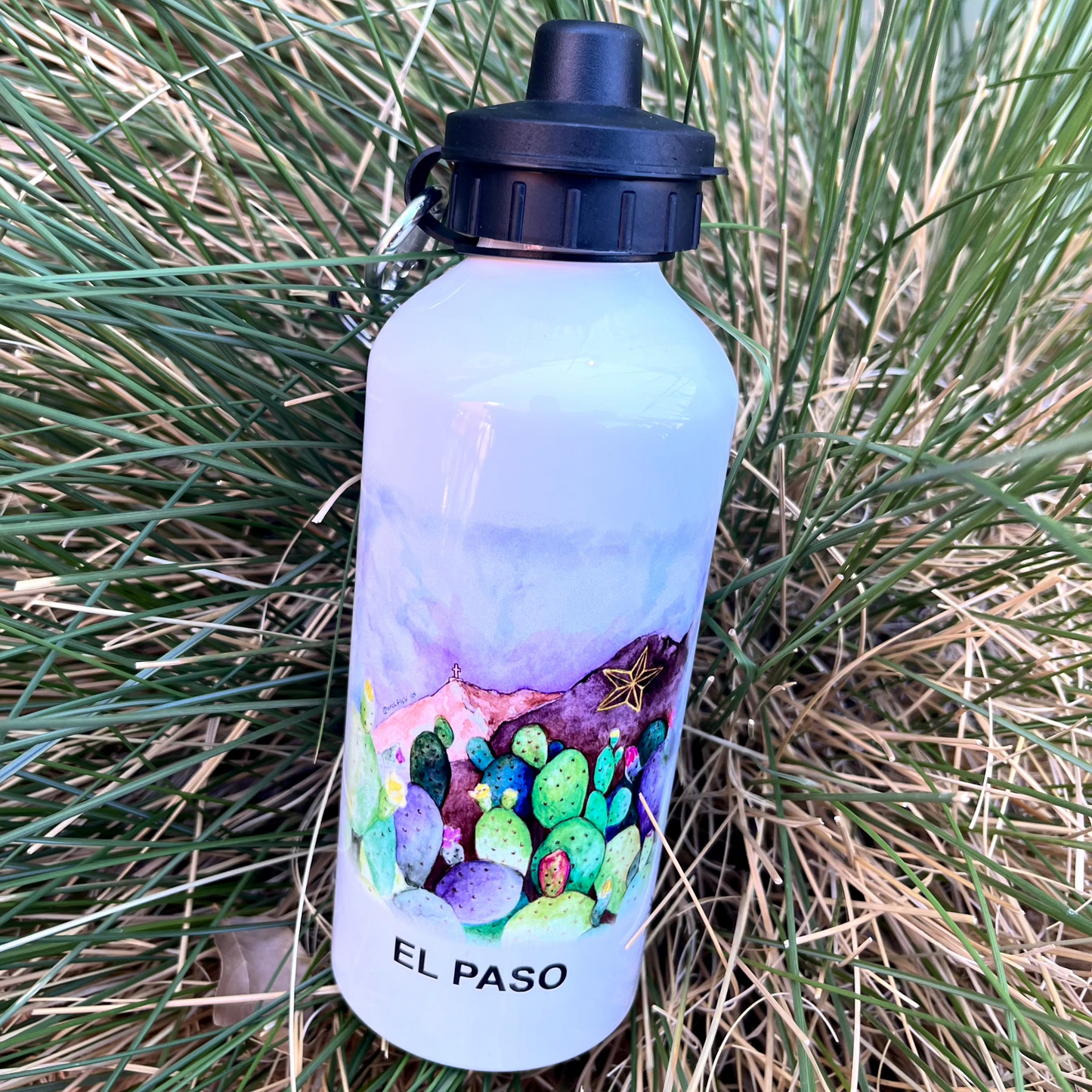 Botellas cantimploras el paso