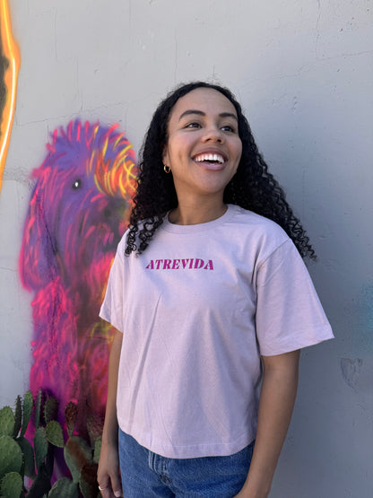 Camiseta Alebrije