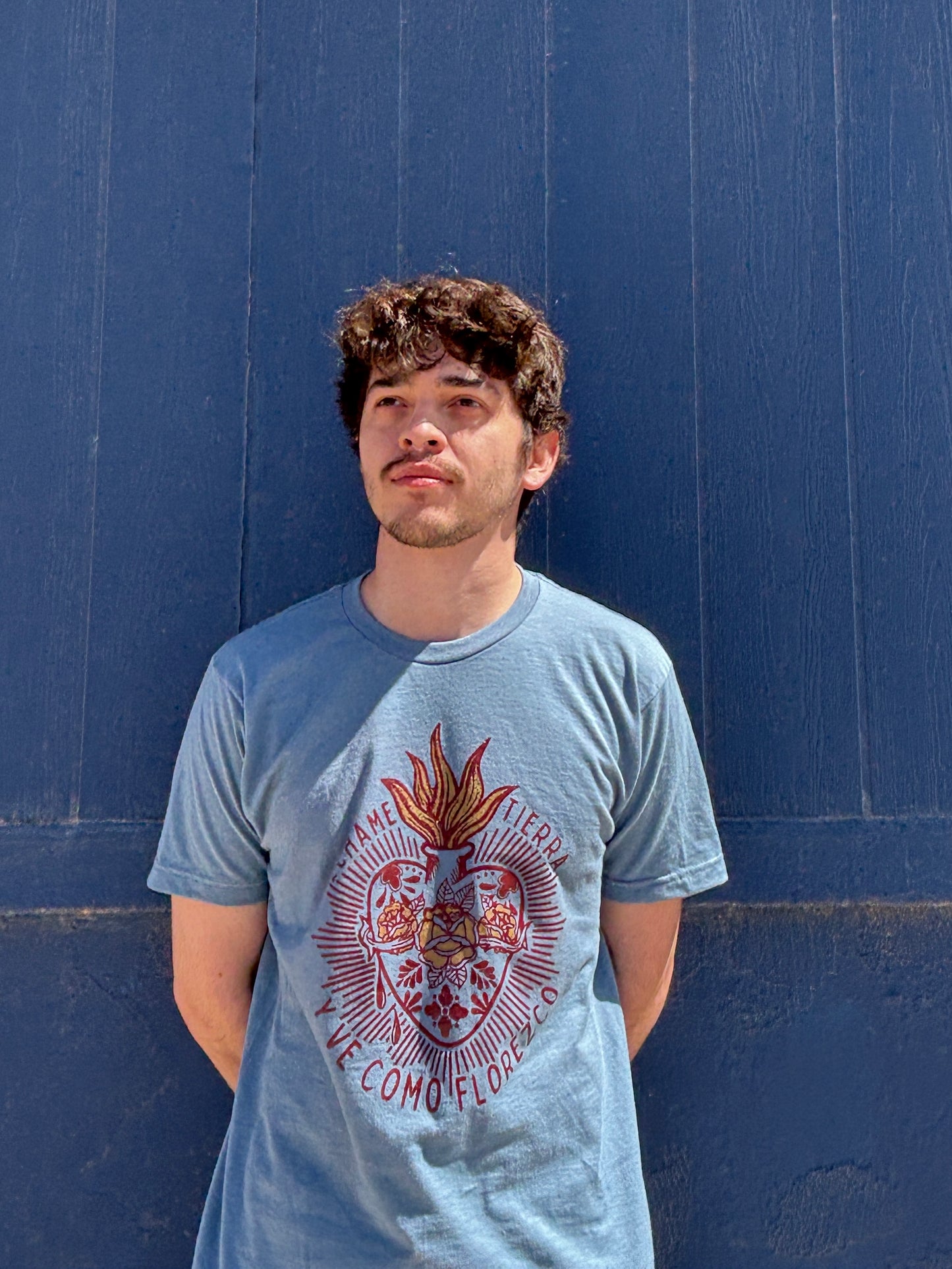 Camiseta Alebrije