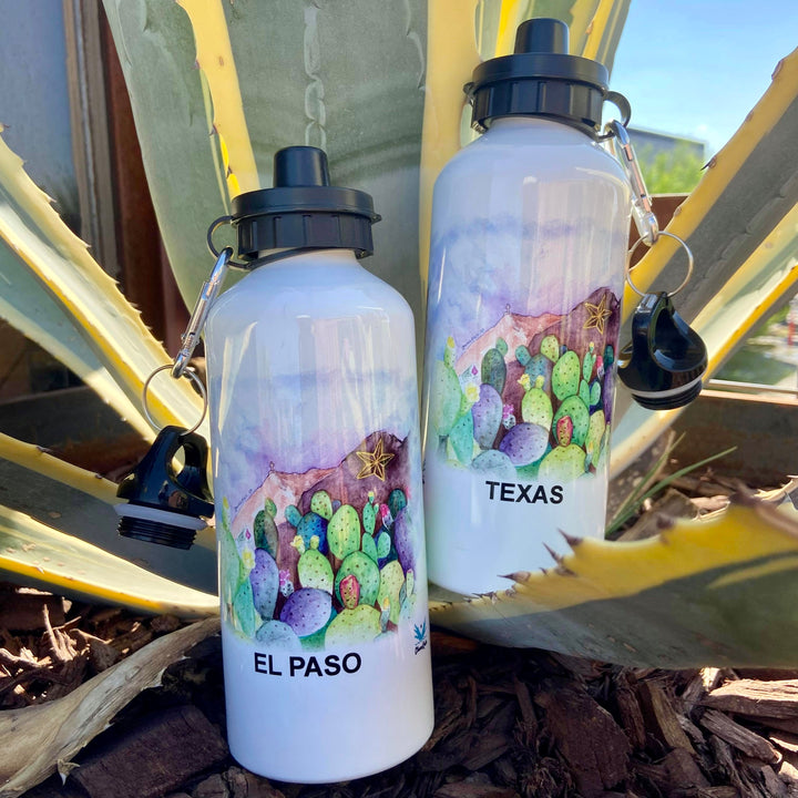 Botellas cantimploras el paso