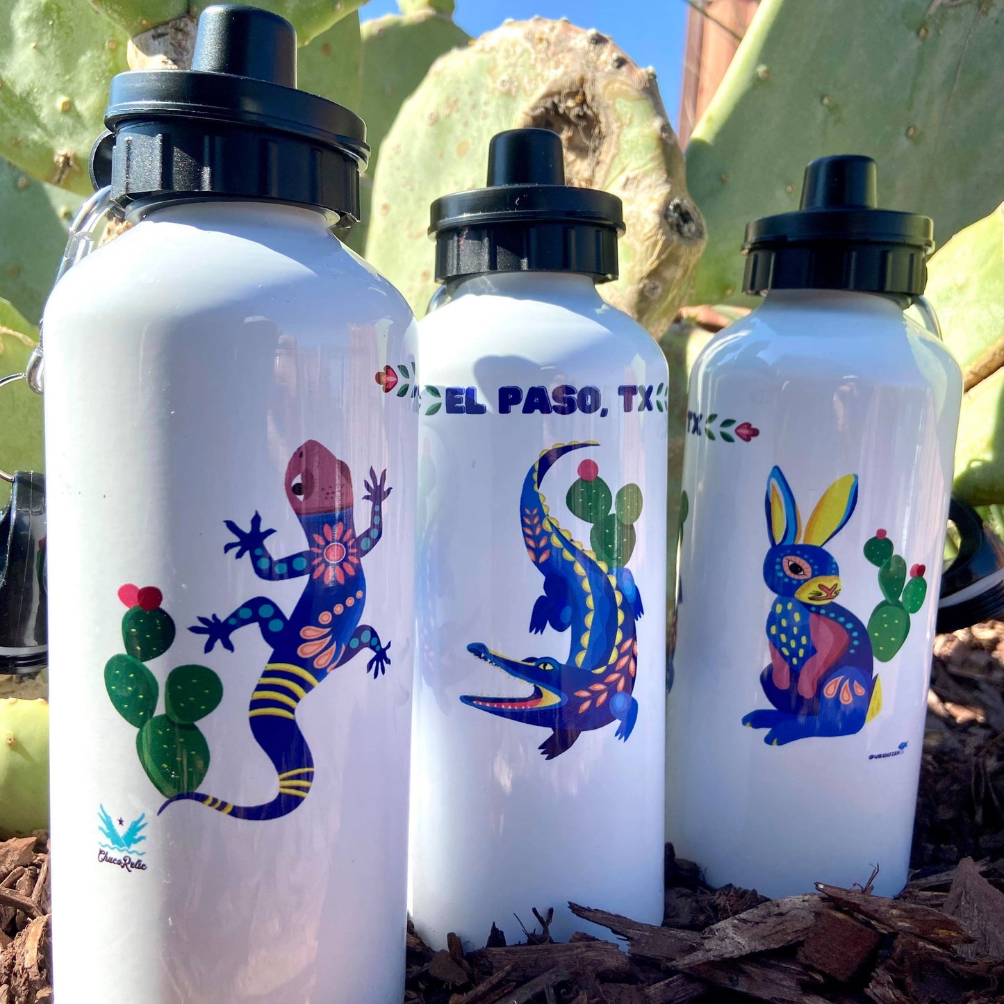 El Paso Water Bottles