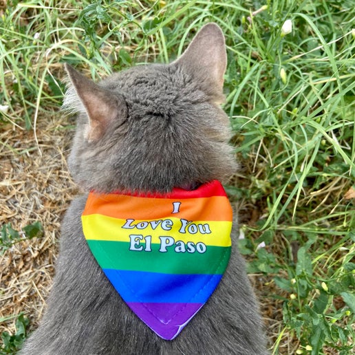Pañuelos para mascotas